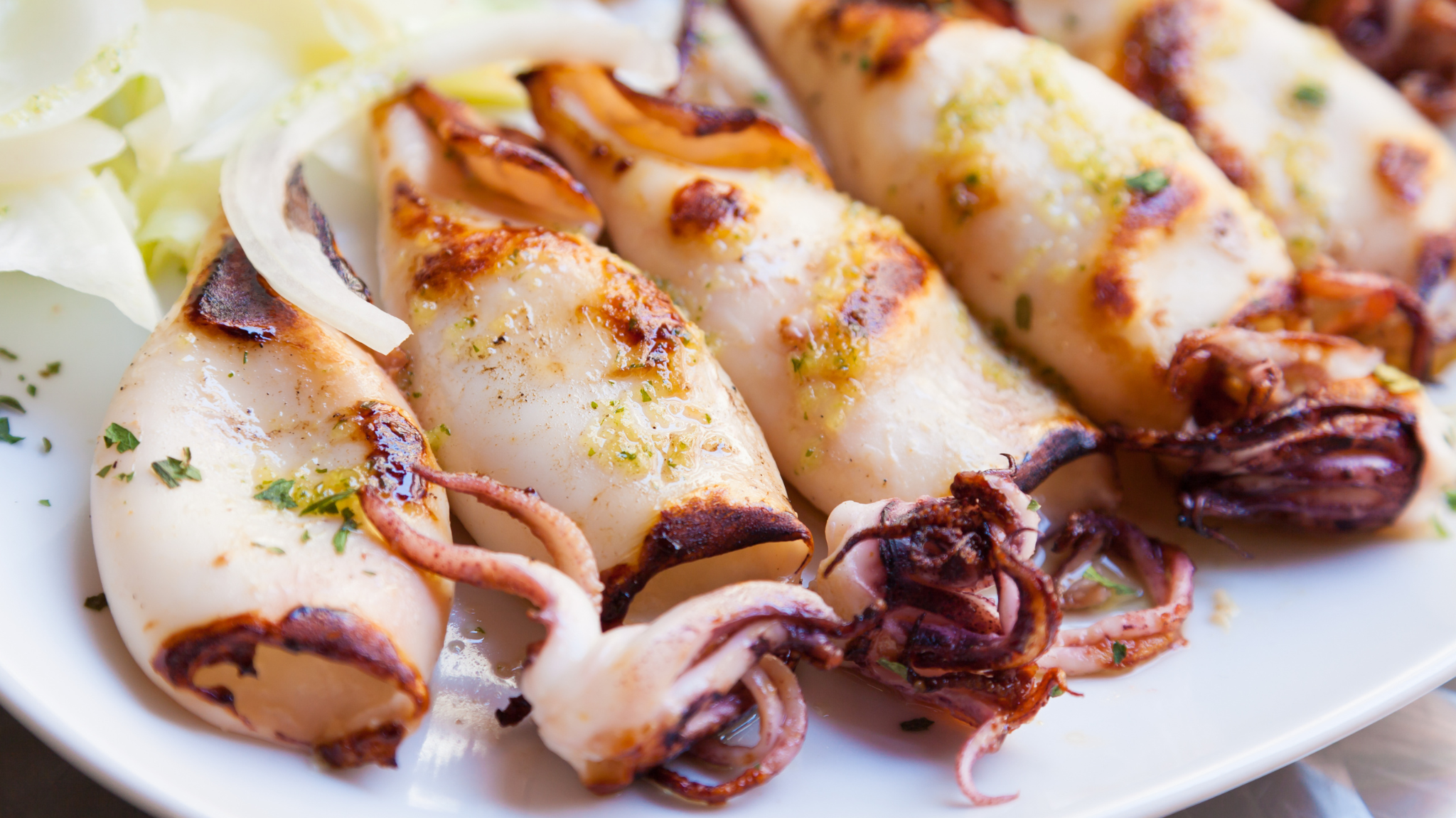Le Marche Italy Cuisine