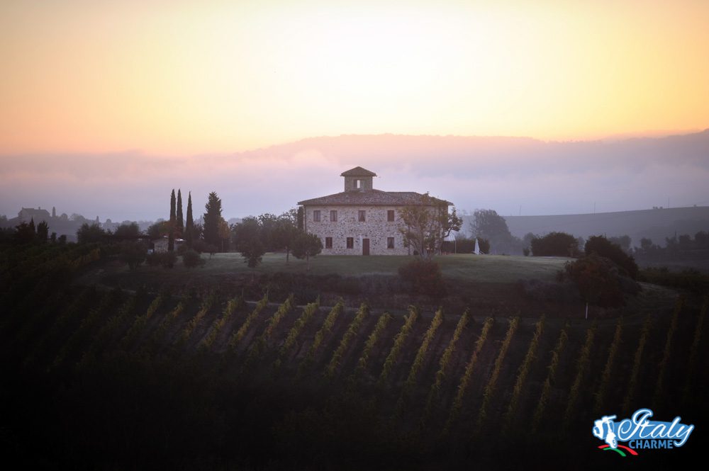 Villa in winery