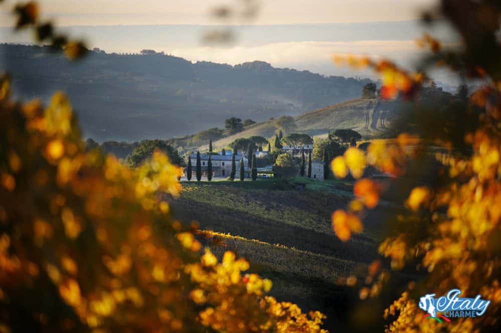 Villa in winery
