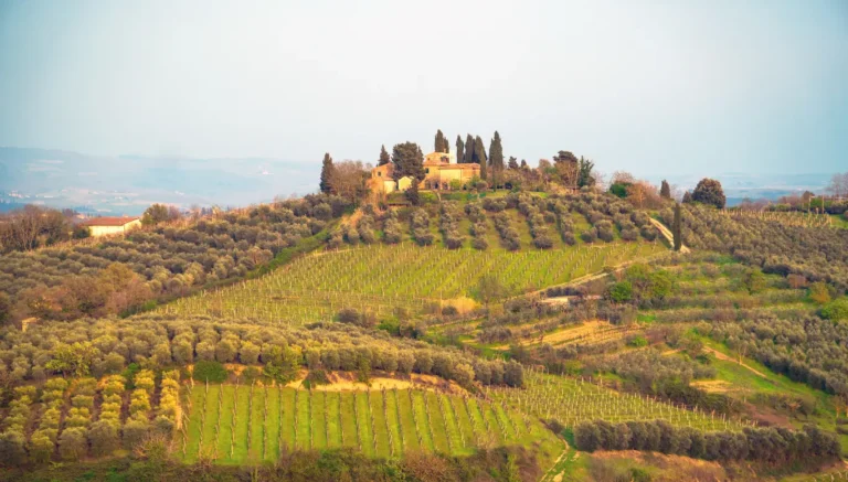 The Chianti valley in Tuscany