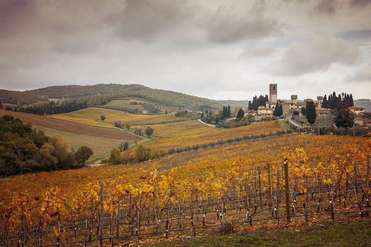 Autumn vineyards below a hilltop village in the Italian countryside