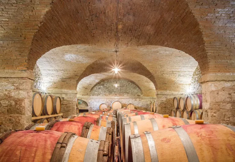Wine barrels in a vaulted cellar