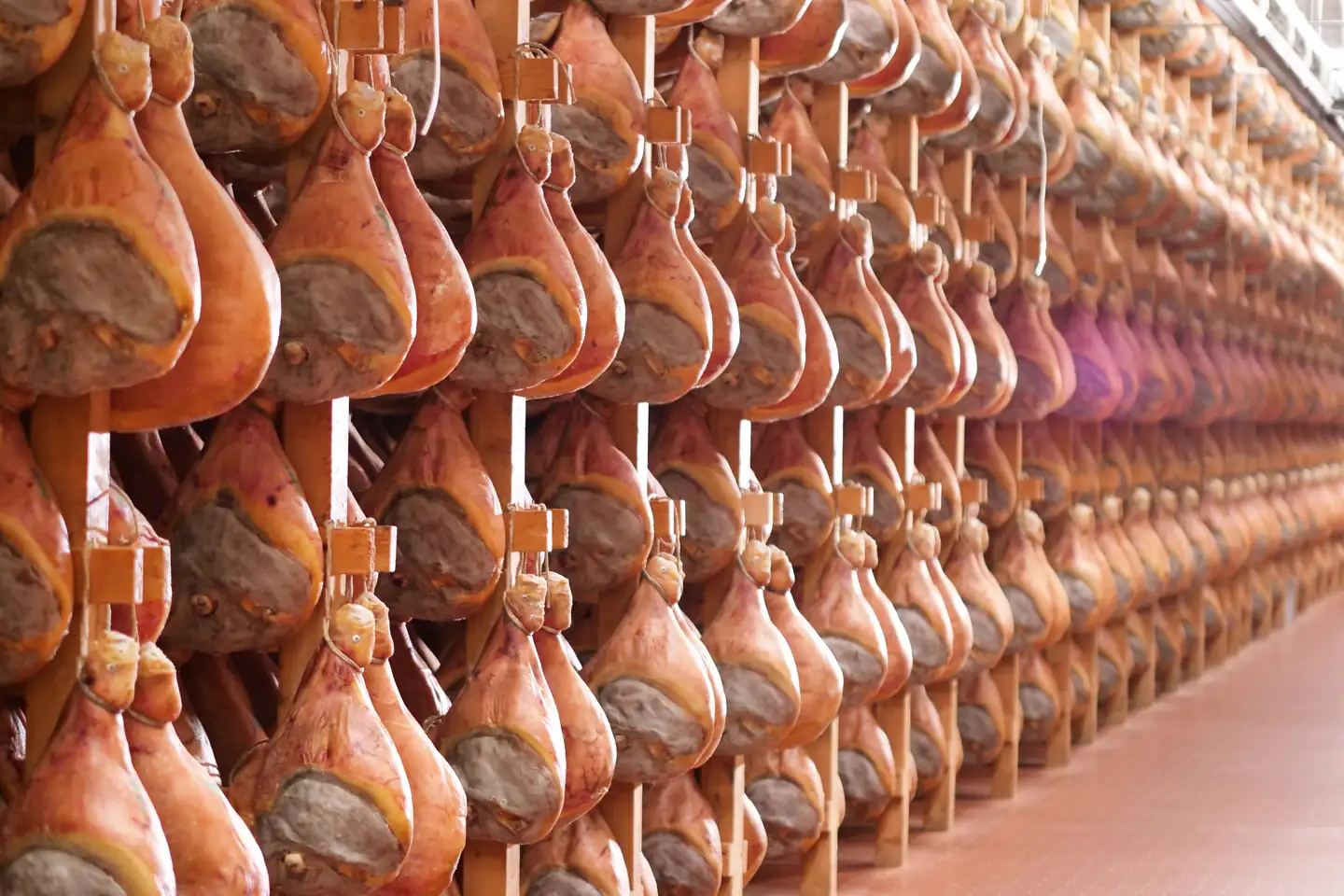 Rows of Prosciutto di Parma hams curing in a ham house near Parma